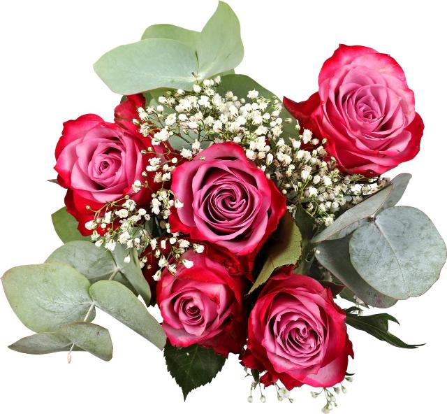 Kytice - Růže a eukalyptus