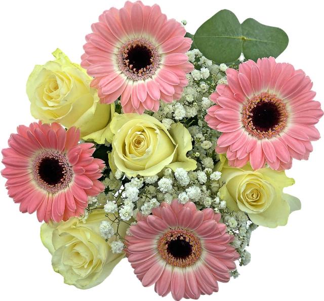 Kytice růže a germini