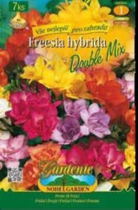 Gardenie Květinové cibulky