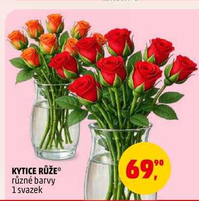 KYTICE RŮŽE, 1 svazek