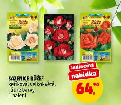 SAZENICE RŮŽE, 1 balení