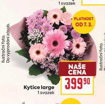Kytice large 1 svazek 
