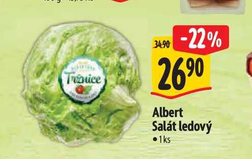   Albert Salát ledový 1ks 