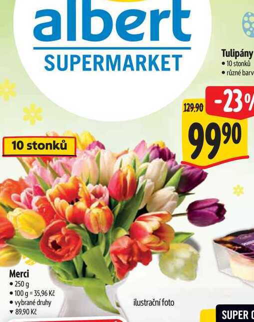   Tulipány  10 stonků  