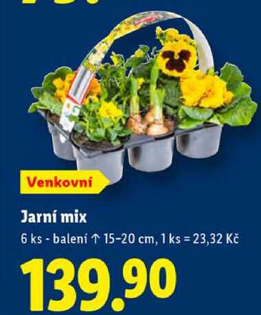 Jarní mix, 6 ks