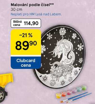 Malování podle čísel, 30 cm 