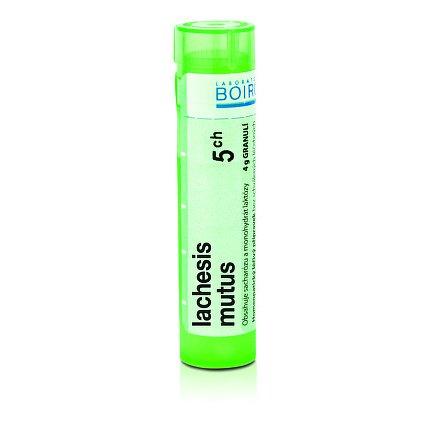 Lachesis mutus 5CH granule 4g