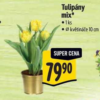 Tulipány mix