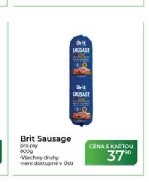 Brit Sausage pro psy