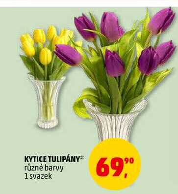 KYTICE TULIPÁNY, 1 svazek