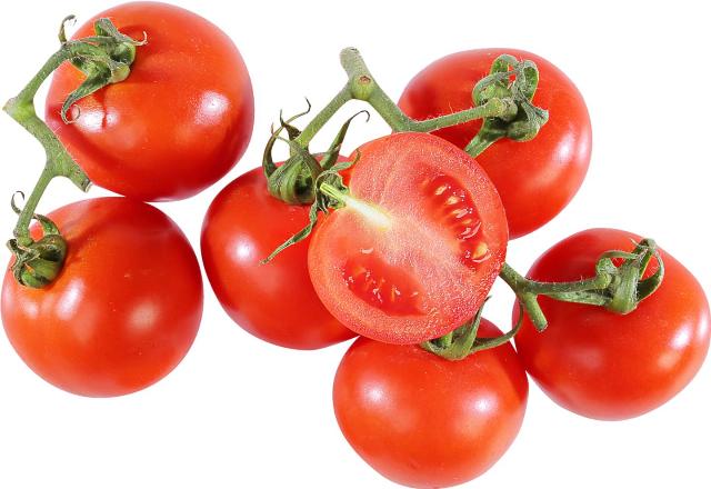 K-BIO - Rajčata keřík