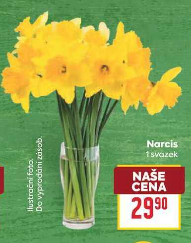 Narcis 1 svazek 