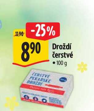   Pekařské droždí 100g 