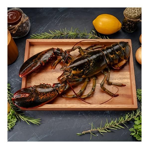 Metro Chef Kanadský humr MSC