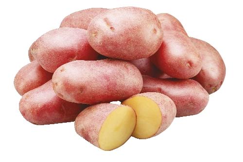 Brambory konzumní pozdní červené, 1.5 kg