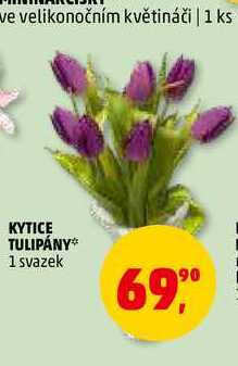 KYTICE TULIPÁNY, 1 svazek