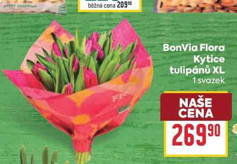 BonVia Flora Kytice tulipánů XL 1 svazek 