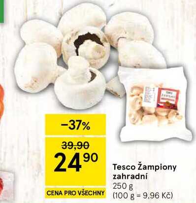 Tesco Žampiony zahradní, 250 g