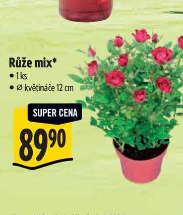 Růže mix, pr. květináče 12 cm