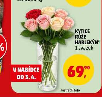 KYTICE RŮŽE HARLEKÝN, 1 svazek