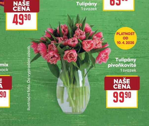 Tulipány pivoňkovité 1 svazek