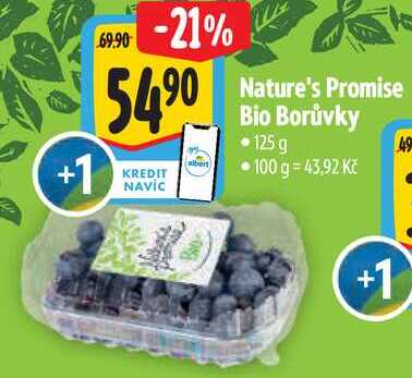 Nature's Promise Bio Borůvky, 125 g
