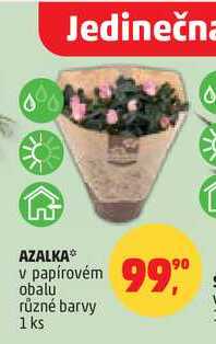 AZALKA, 1 ks 