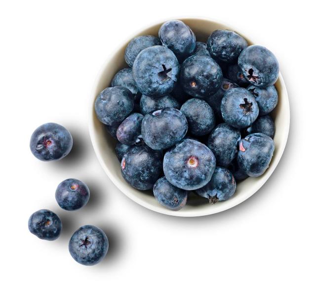 Borůvky premium kanadské balené