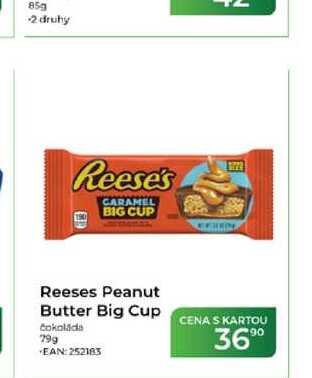 Reeses Peanut Butter Big Cup 79g