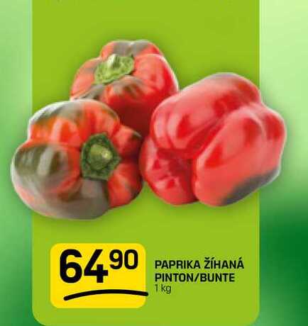 PAPRIKA ŽÍHANÁ PINTON/BUNTE 1 kg 