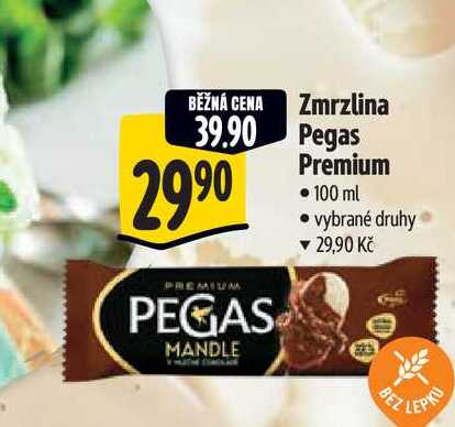 Zmrzlina Pegas Premium 100 ml