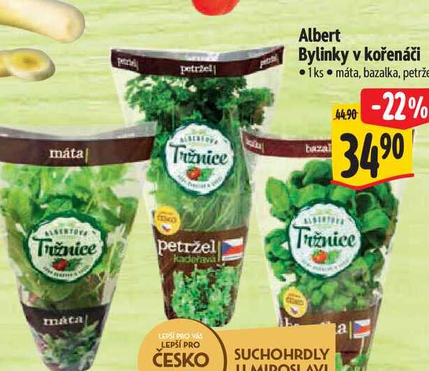   Albert Bylinky v kořenáči 1ks 