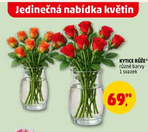 KYTICE RŮŽE, 1 svazek