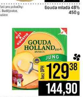 Gouda mladá 48% 450 g