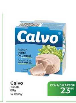 Calvo