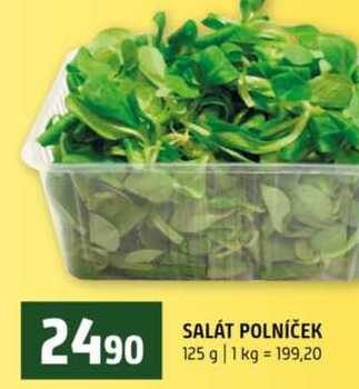 SALÁT POLNÍČEK 125 g