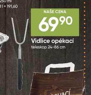 Vidlice opékací teleskop 24-86 cm 