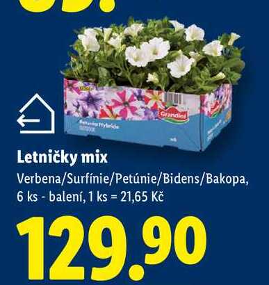 Letničky mix 