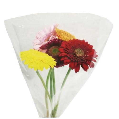 Kytice mini gerbera, 1 KS