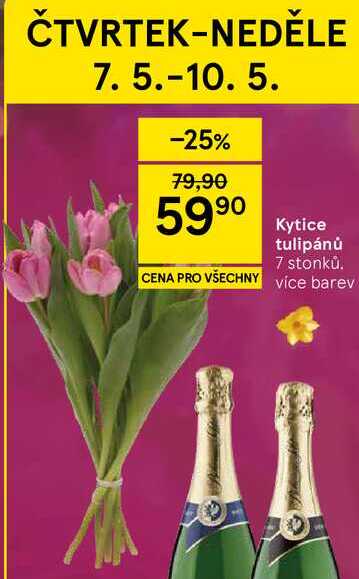 Kytice tulipánů, 7 stonků 