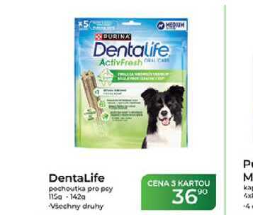 DentaLife pochoutka pro psy 115g-142g 