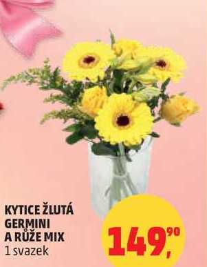KYTICE ŽLUTÁ GERMINI A RŮŽE MIX, 1 svazek  