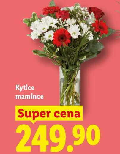 Kytice mamince 