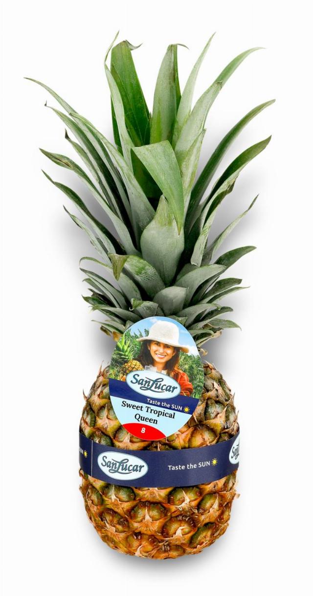 Ananas Sanlucar Gold
