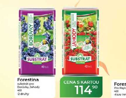 Forestina substrát pro Borůvky, Jahody 40 l