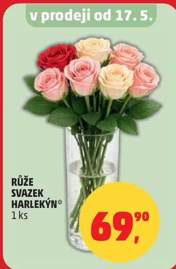 RŮŽE SVAZEK HARLEKÝN, 1 ks 
