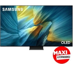 Televize Samsung QE65S95F
