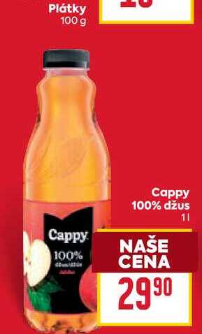 Cappy 100% džus 1l