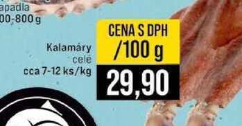 Kalamáry celé cca 7-12 ks/kg 100g