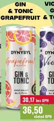 GIN & TONIC GRAPEFRUIT 250ml